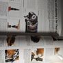 The total bike maintenance book DIY repairs Image 3
