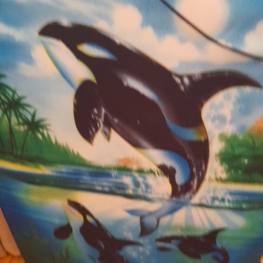 kids surfing  board
