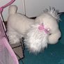 Toy dog  in a bag Image 4