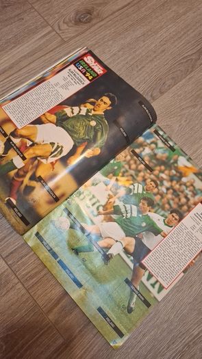 Ireland USA 94 Sticker Collection Book