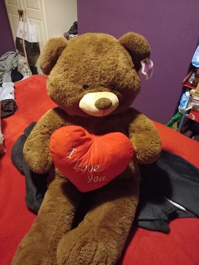 teddy