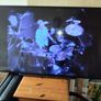 48inch Sony Bravia Smart TV Image 4