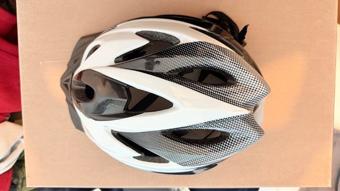 bike Fiido D3 pro