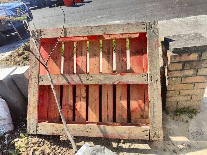 timber pallet