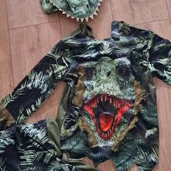 dinosaur costume