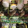 Fishing baits Image 4