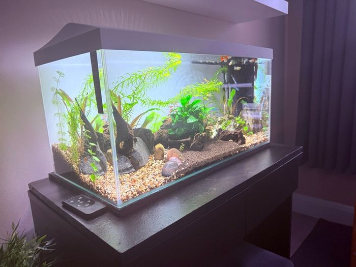 Aquarium & Table Stand