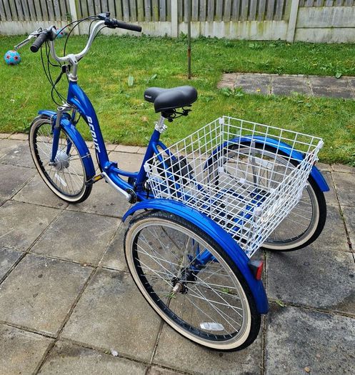 Adult Tricycle