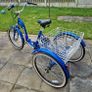 Adult Tricycle Image 2