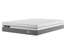 Sealy Phoenix 2900 5ft King