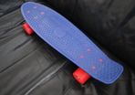 Penny board  mini skateboard  22inc
