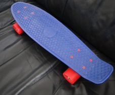 Penny board  mini skateboard  22inc