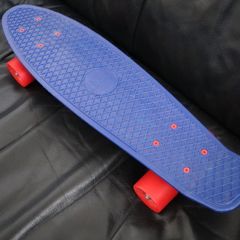 Penny board  mini skateboard  22inc