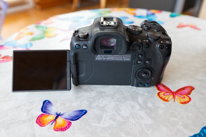 Canon R6, Speedlite Flash & Mount Adapter