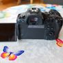 Canon R6, Speedlite Flash & Mount Adapter Image 3