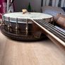 American Tenor Banjo Image 3