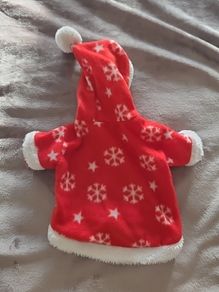 Christmas Dog Coat