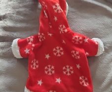 Christmas Dog Coat