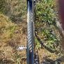 Specialized Sirrus Limited Carbon (FACT 8r) Roadbike Image 10