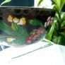 Vintage Chinese Cloisonne and Enamel Collection. Vase, Bowl and Trinket Box Image 5