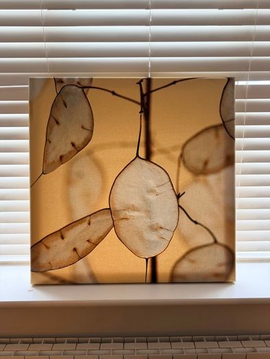 Wall Art Decor
