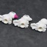 Lego Factory Error Misprint Lot Of Animals Error Misprint Animals Rare And Hard To Find Image 3