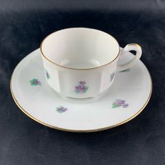 Antique Carl Teichert Meissen Demitasse Cup and Saucer