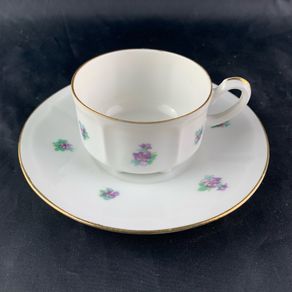 Antique Carl Teichert Meissen Demitasse Cup and Saucer