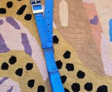 Palento Pet XL Dog Collar