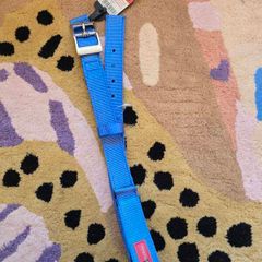 Palento Pet XL Dog Collar
