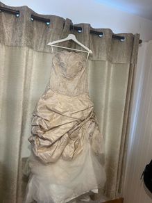 Champagne Wedding Dress & Swarovski Crystal Veil