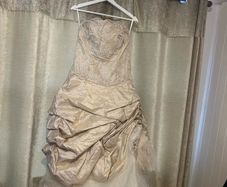 Champagne Wedding Dress & Swarovski Crystal Veil