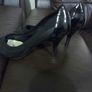 Ellen Tracy leather shoes,size UK-7, EU-41 Image 3