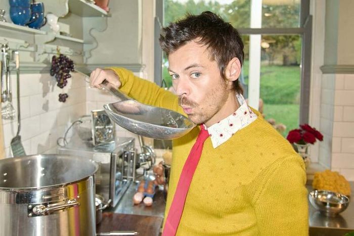 Harry Styles VIP tickets x 2  - Friday 22nd May