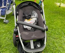 Quinny Foldable Child Buggy