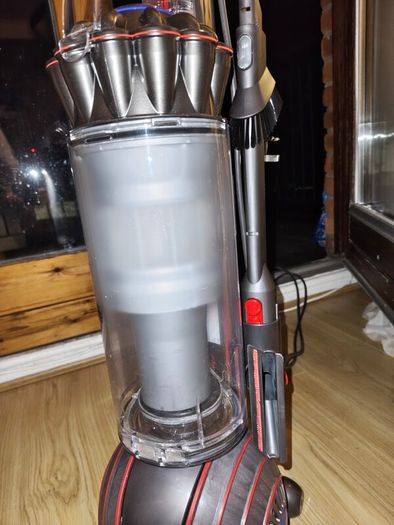 Dyson Ball Animal