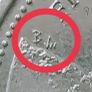 Gibraltar 5p Windsor Bridge 2020 Rare BA Image 4