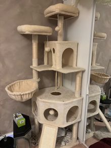 cat tree