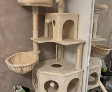 cat tree