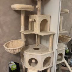 cat tree