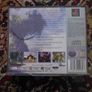 Final Fantsy IX Playstation 1 Image 2