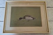 Vintage "mallard" mixed media painting