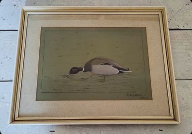 Vintage "mallard" mixed media painting