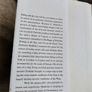 Riding with the Lion in search of mystical Christianity 1995 hardback with dustcover in very good condition FREE STANDARD POSTAGE INCLUDED Image 3