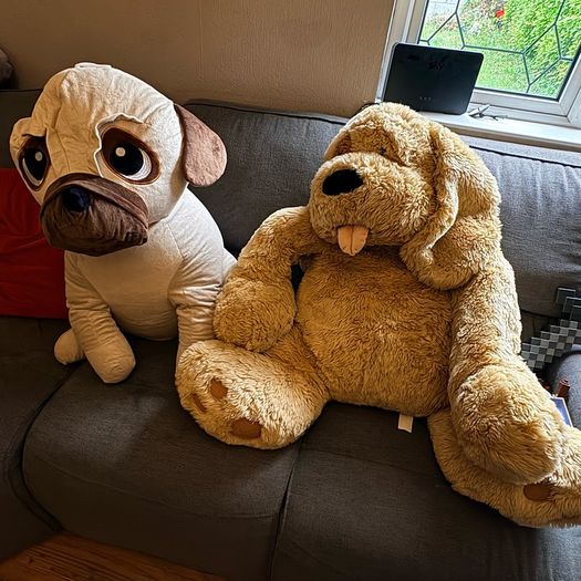 Two large teddy bears