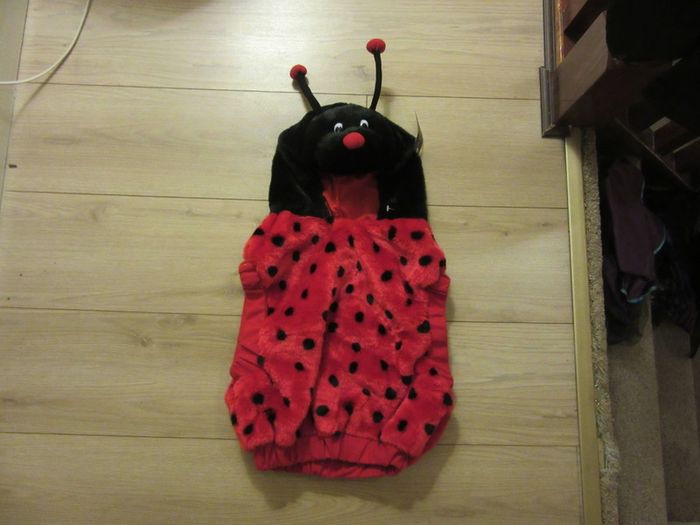 halloween ladybird outfit size one