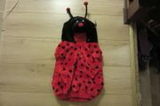 halloween ladybird outfit size one