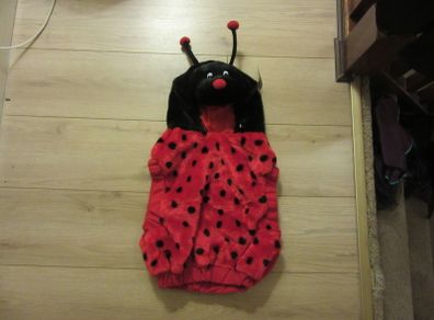 halloween ladybird outfit size one