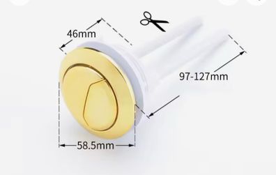 toilet flush button