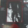 The Guttersnipes, Hairy on the Inside LP, Punk, Oi Image 2